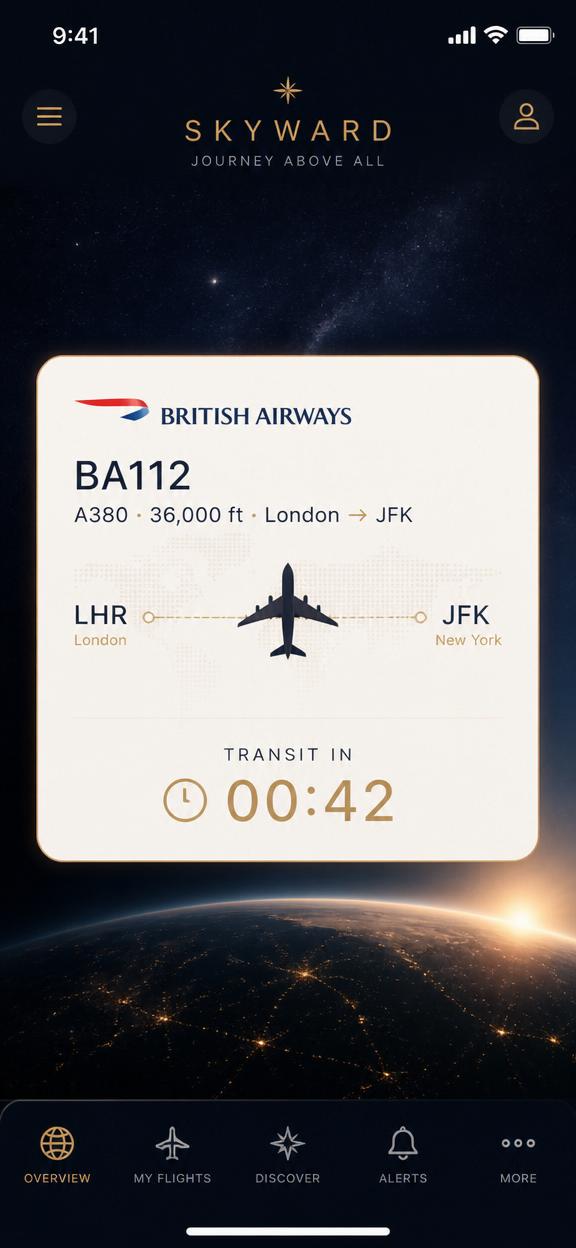 Overhead flight card in-app